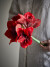 Bloomingville - Amaryllis Kunstige Blomster - Rød