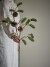 Bloomingville - Pine Stilk Kunstig Grangren Med Kogler - 73 Cm