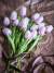 Bloomingville - Tulip Buket - Rosa - Kunstige Blomster