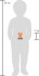 Navnetog - V Bogstav - Træ - Small Foot
