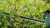 Bosch - Universal Hedgecut 18V 50Cm Klinge Batteri Inkluderet