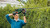Bosch - Universal Hedgecut 18V 50Cm Klinge Batteri Inkluderet