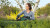 Bosch - Universal Hedgecut 18V 50Cm Klinge Batteri Inkluderet