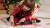Brio World - Juletog - 36014