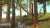 Cabela S Adventure Camp - Import