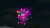Calamity Angels Special Delivery