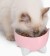 Catit - Combo Kit Pixi - Pink