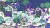 Chicory A Colorful Tale Limited Run Import