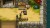 Cladun Returns This Is Sengoku