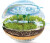 Clementoni - Science Play - Lab Ecosphere Terrarium