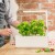 Click And Grow- Smart Garden 3 Start Kit Color White Sgs1Uni