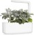 Click And Grow - Smart Garden Refill 3-Pack Dusty Miller