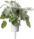 Click And Grow - Smart Garden Refill 3-Pack Dusty Miller