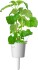 Click And Grow - Smart Garden Refill 3-Pak - Catnip