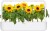 Click And Grow - Smart Garden Refill 3-Pak - Mini Solsikke 100 Pollenfri Og