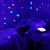 Cloud B - Twilight Turtle - Skildpadde Natlampe - Pink