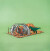 Crateit - Dinosaur Wasteland Battle