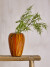 Creative Collection - Sunny Vase - Orange - Glas