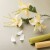Crepepapir Til Diy Blomster - 8 Farver