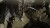 Crisis Core - Final Fantasy Vii - Reunion