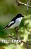 Danmarks Natur Fugle I Haven