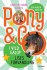 Den Anden Bog Om Pony Co