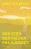 Den Sten Der Falder Fra Bjerget