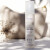 Derma Eco - Night Cream - 50 Ml