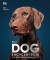 Dog Encyclopedia The Definitive Visual Guide