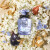 Dolce Gabbana - Dolce Blue Jasmine Edp 50 Ml