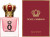 Dolce Gabbana - Q By Dg Edp Intense 30 Ml