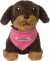 Dr - Hundebanden Messi - Plys 24 Cm