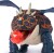 How To Train Your Dragon - Blazing Battles - Catapult Blast Gronckle