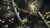 Dragon S Dogma 2