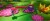 Dreamworks Trolls Remix Rescue - Kode I Boks