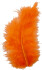 Dun - Str 5-12 Cm - Orange - 15 Stk