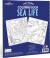 Eeboo - Early Learner Sea Life Coloring Book - 32 Sider Malebog