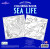 Eeboo - Early Learner Sea Life Coloring Book - 32 Sider Malebog