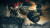 Elden Ring Shadow Of The Erdtree