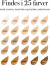Elizabeth Arden - Flawless Finish Skincaring Foundation - 30 Ml