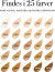 Elizabeth Arden - Flawless Finish Skincaring Foundation - 30 Ml - 430W