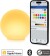 Eve - Flare - Portable Smart Led Lamp