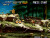 Evercade - Neogeo Arcade 3 Ever Int