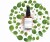 Evolve - Superfood 360 Serum 30 Ml