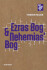 Ezras Bog Nehemias Bog