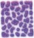 Vallejo - Scenery - Fantasy Tuft - Neon - 4 Mm - Sc430