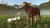 Farming Simulator 25 - Beans Alpacas Edition