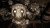 Five Nights At Freddy S Security Breach
