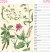 Flora Kalender 2026