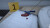 Forensics Crime Scene Detective